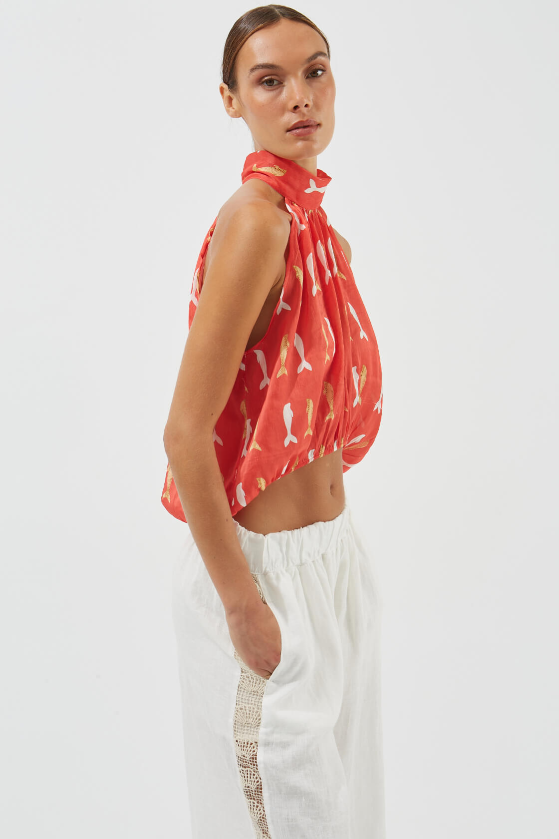 TOP-0134P, PNT-0513